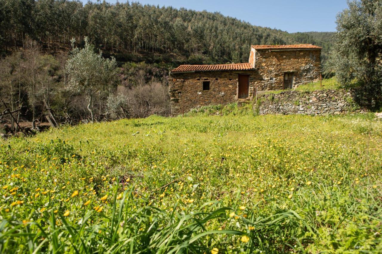 فيلا كاستيلو برانكوفي Casinha Da Aldeia المظهر الخارجي الصورة